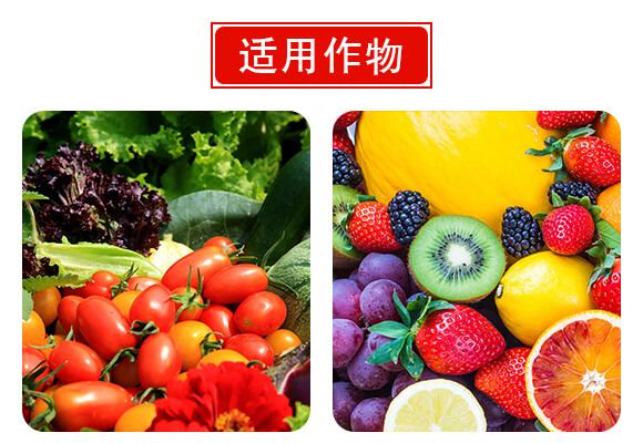 南陽(yáng)市龍昇化工有限公司產(chǎn)品詳情頁(yè)2_06