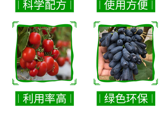 20%金薊馬-神龍農(nóng)業(yè)_05