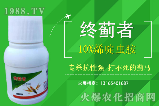 10%烯啶蟲胺能打薊馬嗎？有什么特點？10%烯啶蟲胺使用注意事項！