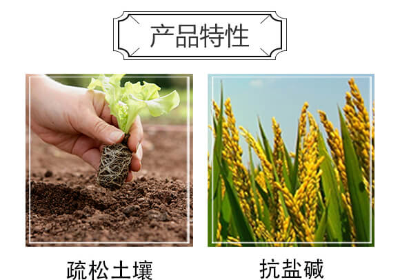 復合肥料25-14-6-歌利洋_05