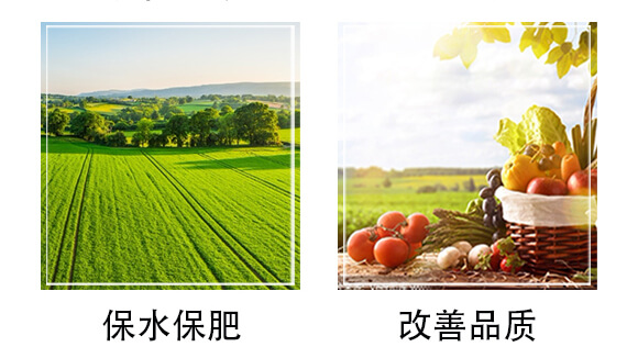 復合肥料25-14-6-歌利洋_06