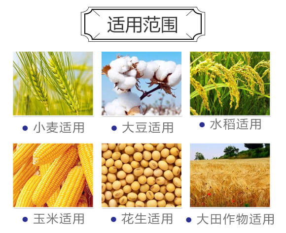 復合肥料25-14-6-歌利洋_07