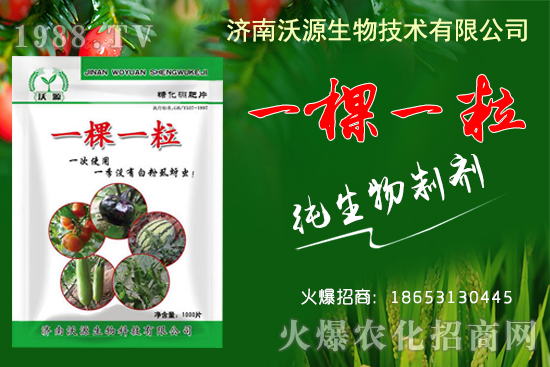     蚜蟲、白粉虱、薊馬怎么防？沃源生物“一棵一粒”殺除蟲卵，藥效！
