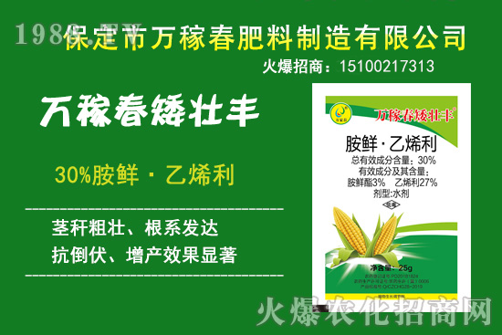 玉米倒伏產(chǎn)量低，玉米縮節(jié)、抗倒增產(chǎn)產(chǎn)品有哪些？