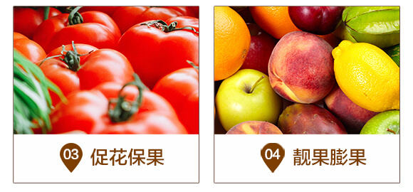 生物紅鉀-復(fù)合微生物菌劑-華濱_05