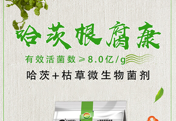 哈茨根腐康-云臺大化_01