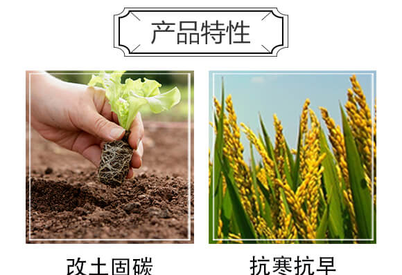 礦源黃腐酸鉀-黑金鉀-田小超_05