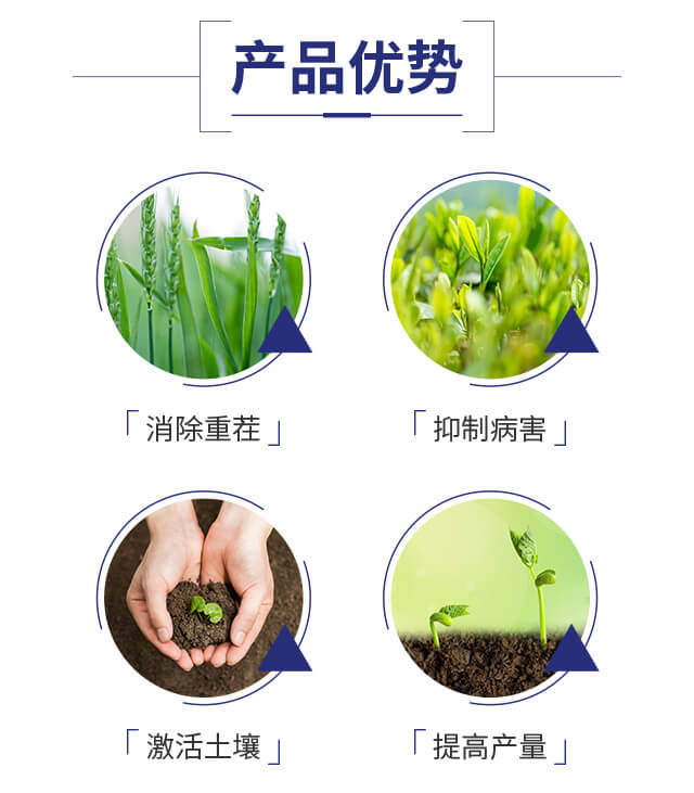 哈茨木霉-豐碩沃農(nóng)_03