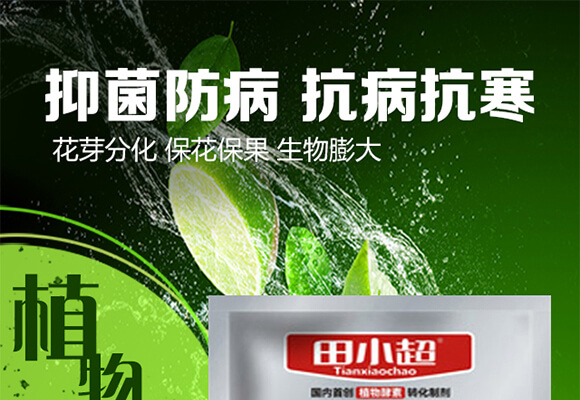高能植物酵素-田小超_01
