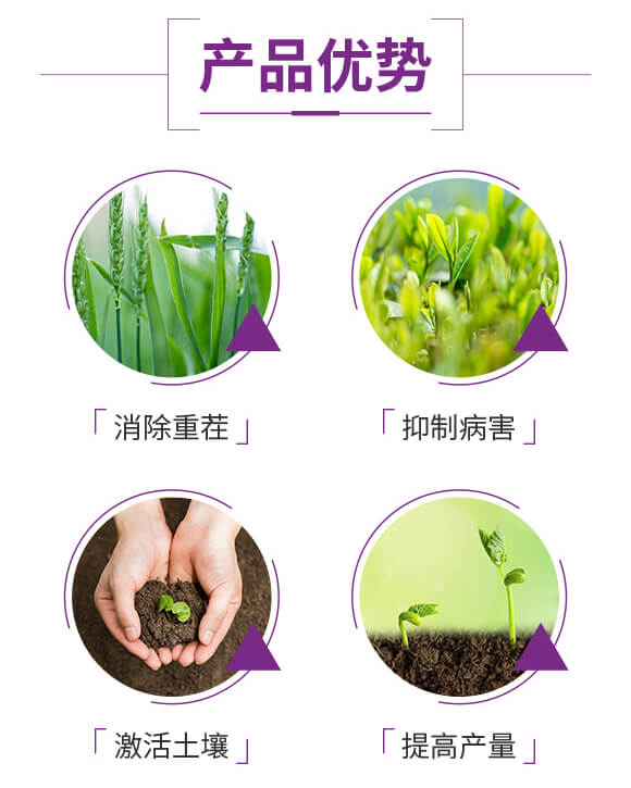 大量元素水溶肥料20-20-20+TE_03