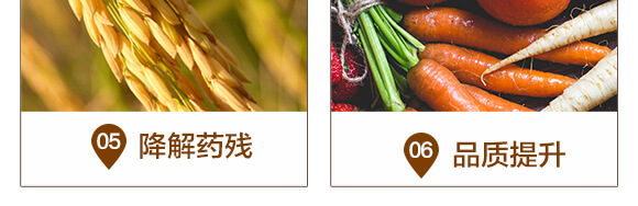 微生物菌劑（500ml）-百億擴(kuò)繁-華濱生物_06