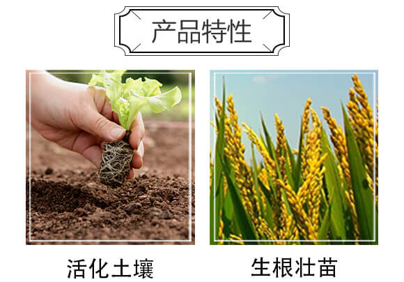 豆粕海藻·有機(jī)肥料-賽寶珠_(kāi)04