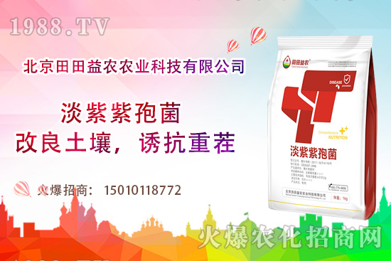 西紅柿需肥特點有哪些，西紅柿夏季如何管理？