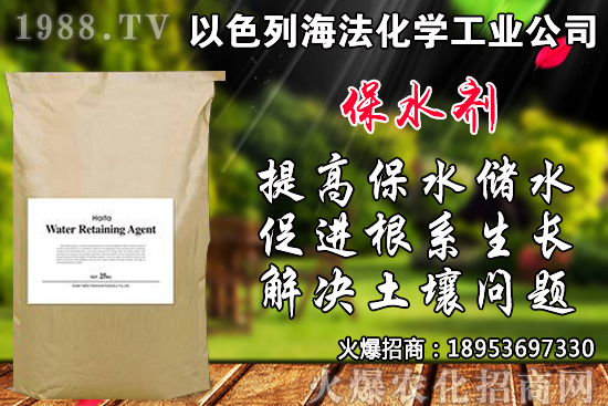芹菜如何種植？品種如何選擇？芹菜播種時(shí)間及種植技術(shù)！