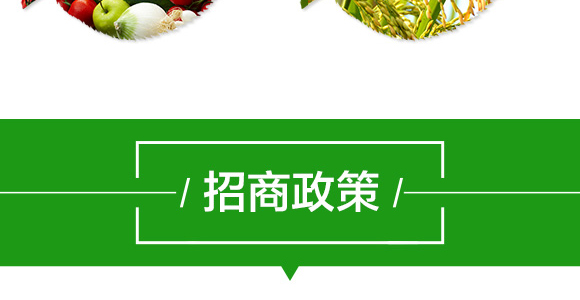 生物拌種劑（姜蒜薯）-強農(nóng)生物_08