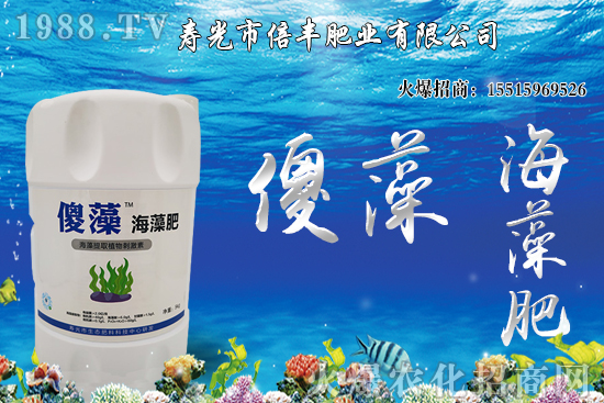 市場逐步回歸正?;久?,大豆價格沖高回落!