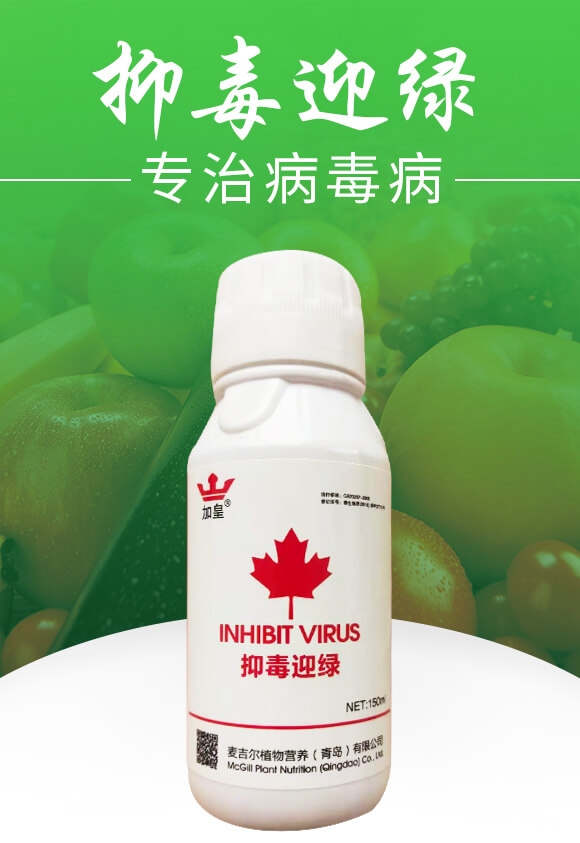 抑毒迎綠(專治病毒?。?綠肥_01
