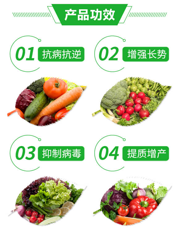 抑毒迎綠(專治病毒?。?綠肥_03