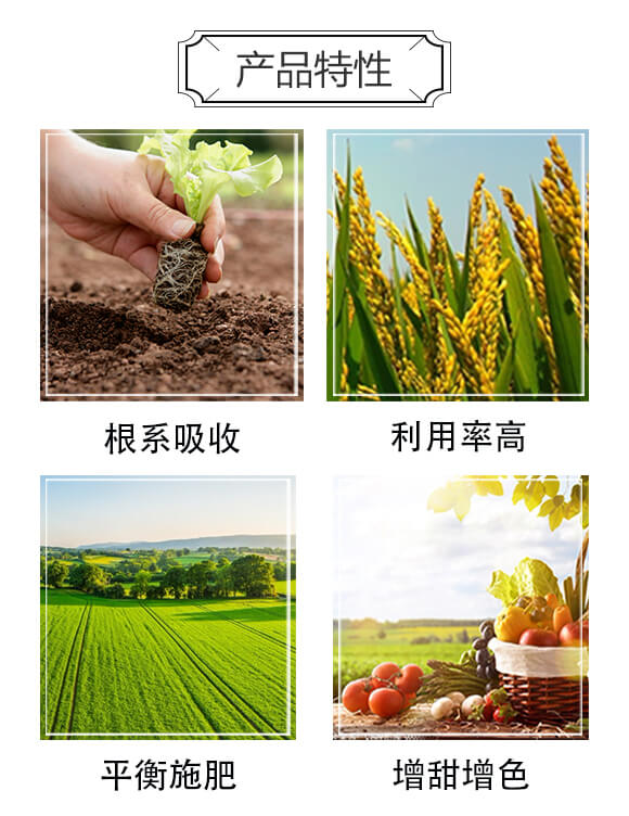 大量元素水溶肥12-6-42+TE-諾銳達-海法化工_03