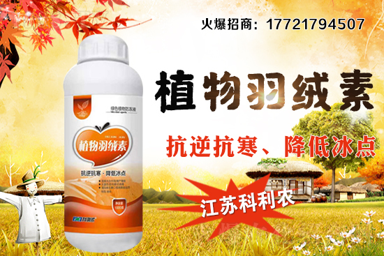 春玉米種植密度如何把握，春玉米施肥及中后期管理！