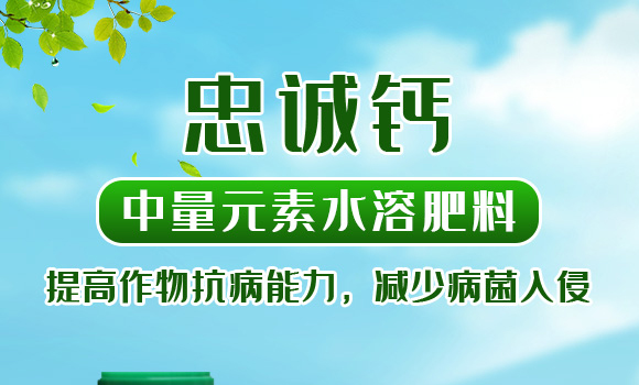 有機水溶肥料-忠誠鎂-先益農_01
