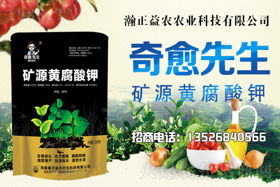 水稻價格還將上漲！上行空間有多大？附:當前水稻價格