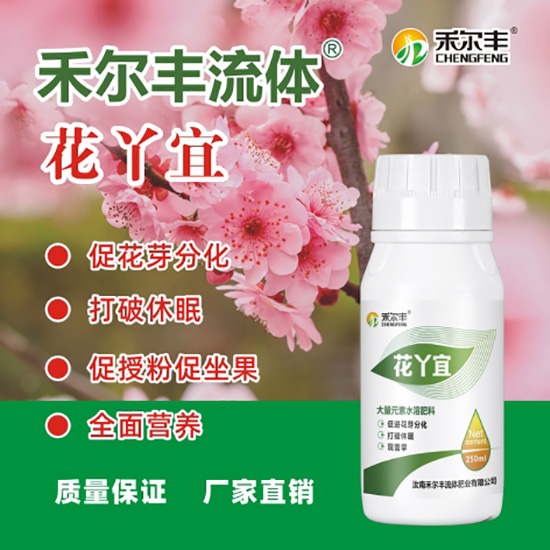 花丫宜3