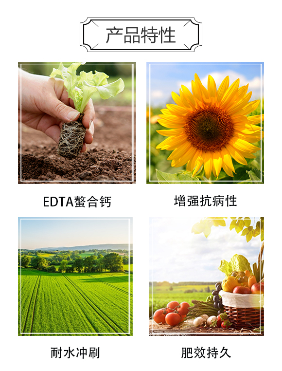 一畫-四馬_03