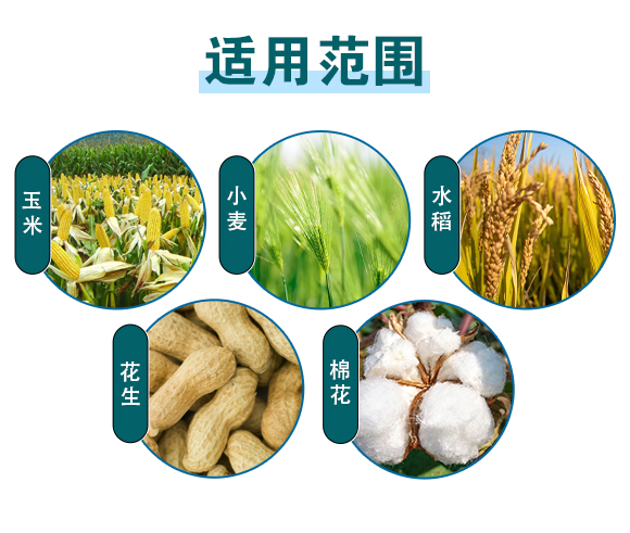 廣西和齊成農(nóng)業(yè)股份有限公司-有機無機復(fù)混肥料_04
