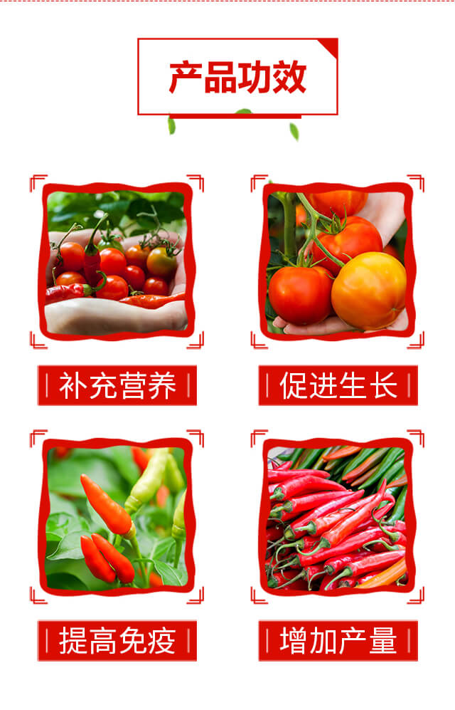 辣椒番茄高產(chǎn)TC-綠士威_03