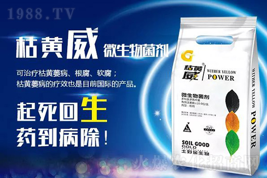 枯黃萎、立枯等病害怎樣滅殺？用它就夠了！