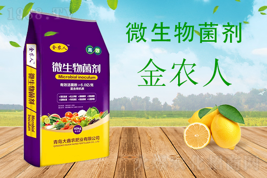小麥科學(xué)防范“倒春寒”，該怎么做？
