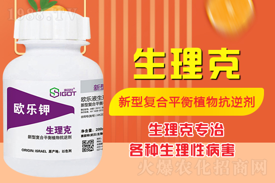 番茄臍腐病有什么癥狀？怎么解決番茄臍腐??？