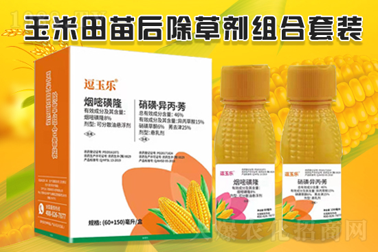 玉米除草效果差，什么原因？玉米除草劑怎么選？