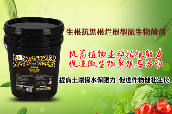 作物黑根爛根、黃苗弱苗頻發(fā)？用“它”輕松解決！百萬種植戶都在用！