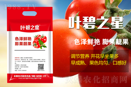 番茄開花少產(chǎn)量低怎么辦?牢記這幾點,番茄坐果不用愁!