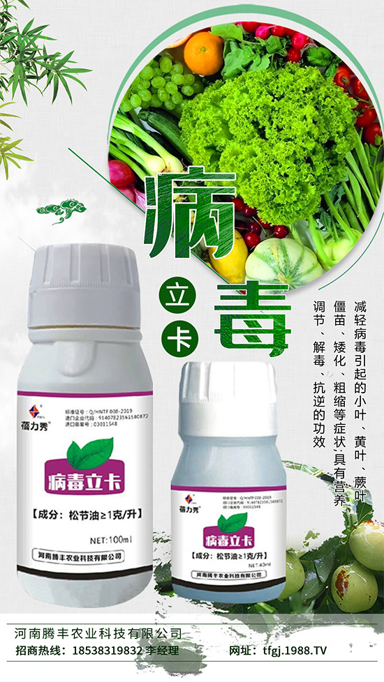     病毒病一種是由植物病毒寄生引起的病害。種類少、危害大，易得難治。在侵染蔬菜植株后會與蔬菜爭奪生長必需的養(yǎng)分，同時會影響植株的養(yǎng)分傳輸，抑制光合作用的進(jìn)行