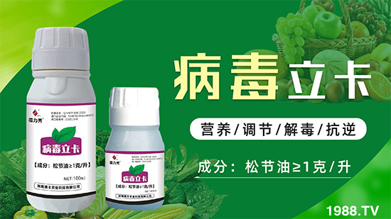 破解植物病毒防治難題！快速恢復(fù)生機(jī)！這個藥打上就管用！