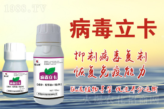 破解植物病毒防治難題！快速恢復(fù)生機(jī)！這個藥打上就管用！