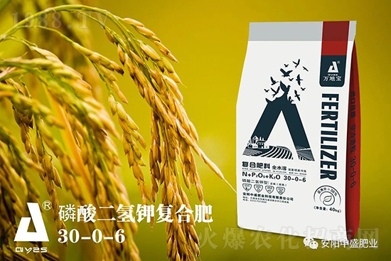 水稻分蘗不好對(duì)產(chǎn)量有多大影響？促進(jìn)水稻分蘗怎么做？