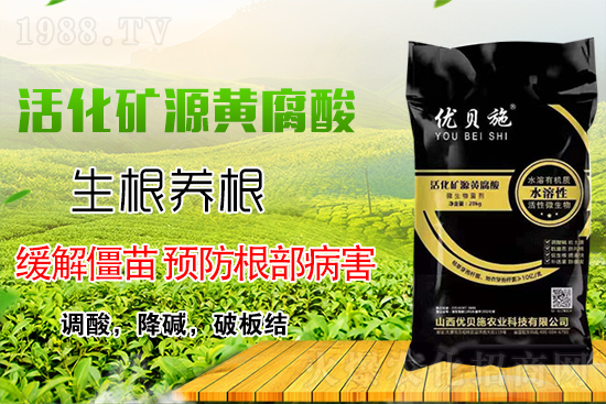 礦源黃腐酸鉀你了解多少?礦源黃腐酸鉀遇見(jiàn)微生物菌劑有啥奇妙反應(yīng)?