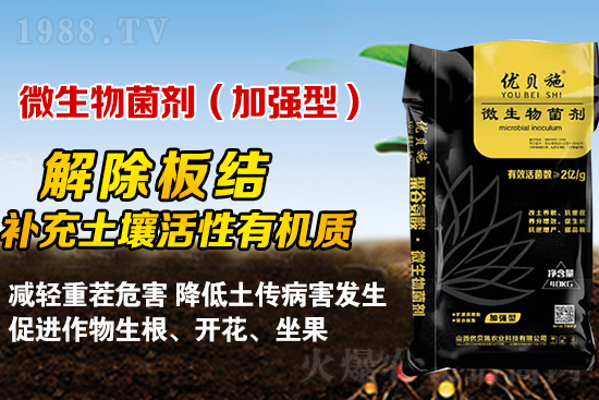 礦源黃腐酸鉀你了解多少?礦源黃腐酸鉀遇見(jiàn)微生物菌劑有啥奇妙反應(yīng)?