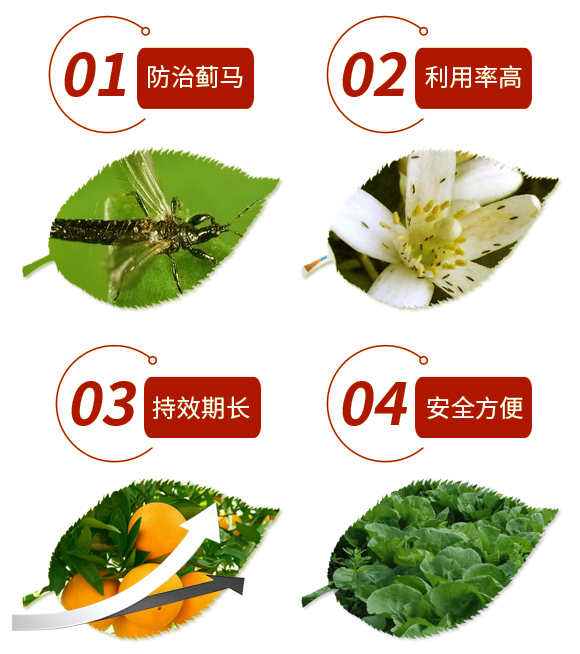 薊馬誘導(dǎo)劑-強農(nóng)_03