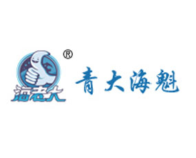 青大?？锛夹g(shù)有限公司