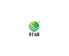 葉威國(guó)際集團(tuán)有限公司