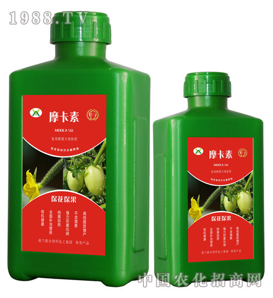 ?；ū９被狎弦弘姆?摩卡素-強(qiáng)芯國(guó)際