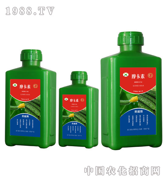 黃瓜專用氨基酸螯合液肽肥-摩卡素-強(qiáng)芯國際