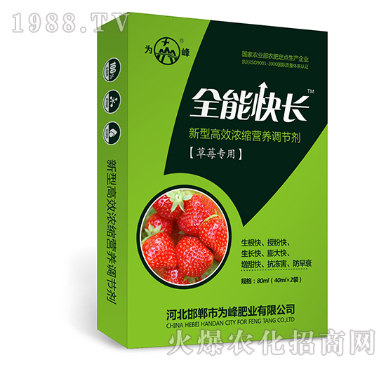 全能快長（草莓專用）-新型高效濃縮營養(yǎng)調(diào)節(jié)劑-為峰