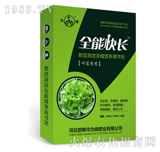 全能快長（葉菜專用）-新型高效濃縮營養(yǎng)調(diào)節(jié)劑-為峰