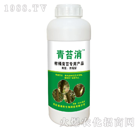 柑橘樹青苔專用產品-青苔消-奧瑞奇